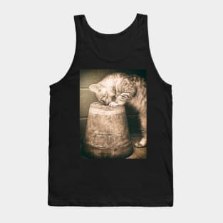 Cat curiosity Tank Top